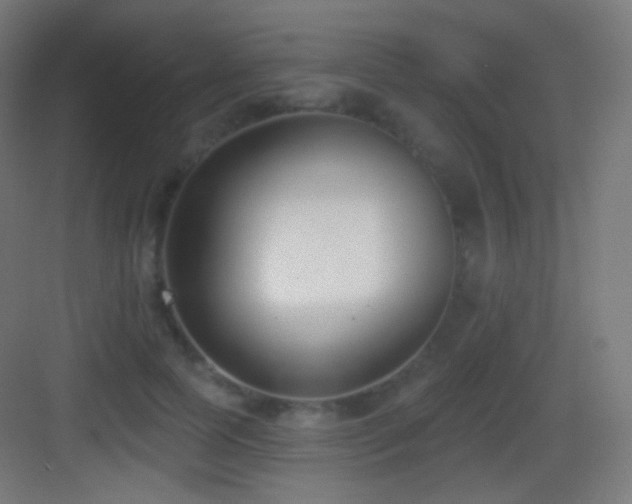 X0000083530745200702091006