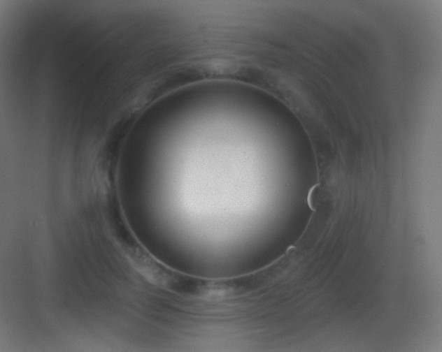 X0000083530746200702091006