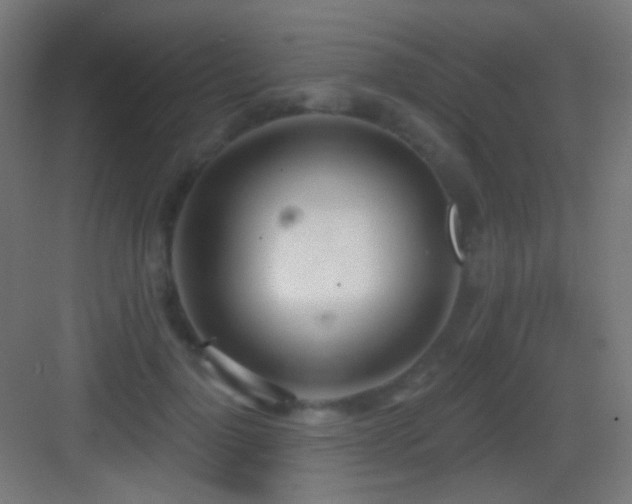 X0000083530748200702091006