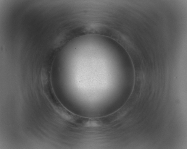X0000083530751200702091006