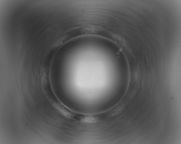 X0000083530759200702091006