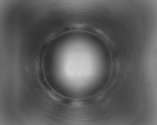 X0000083530760200702091006