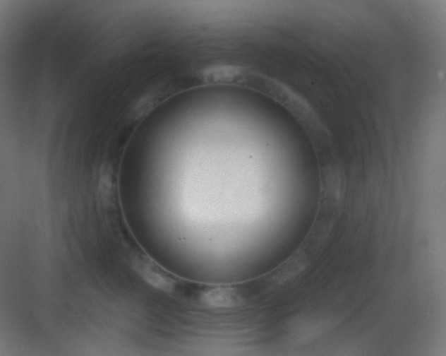 X0000083530761200702091006