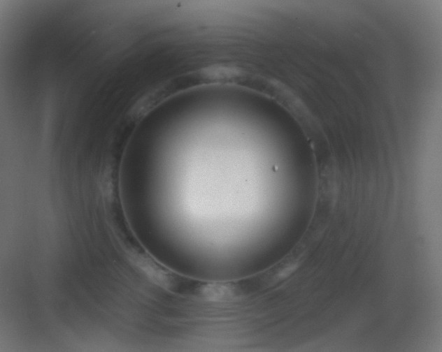 X0000083530762200702091006