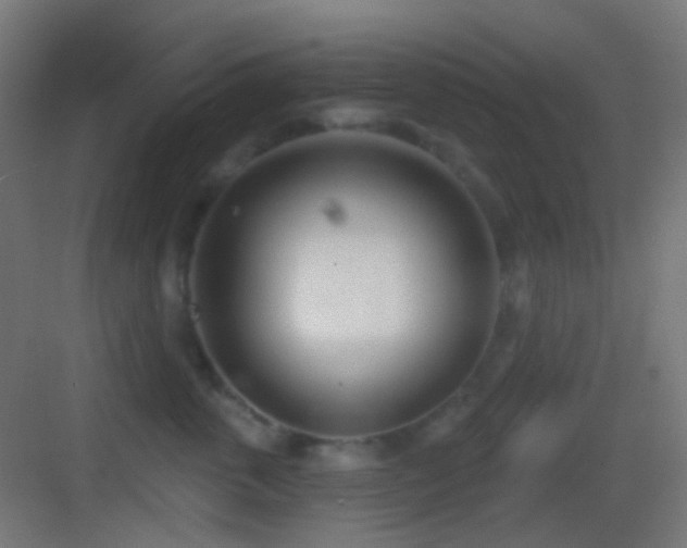 X0000083530763200702091006