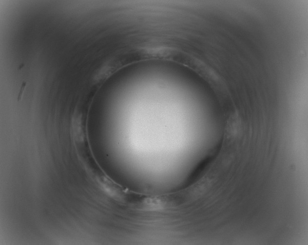 X0000083530764200702091006