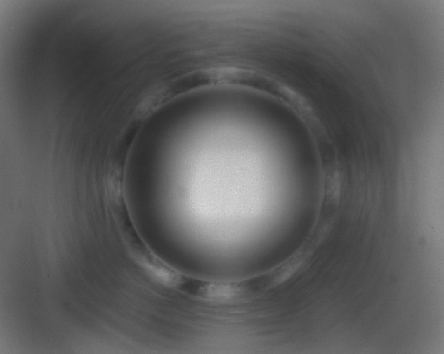 X0000083530766200702091006