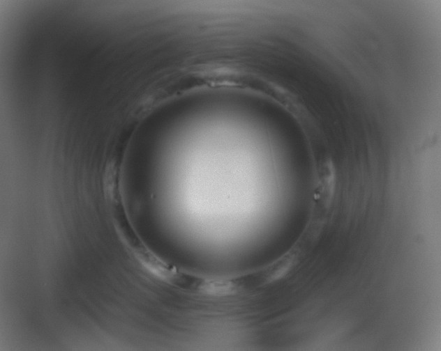 X0000083530767200702091006