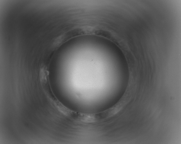 X0000083530768200702091006