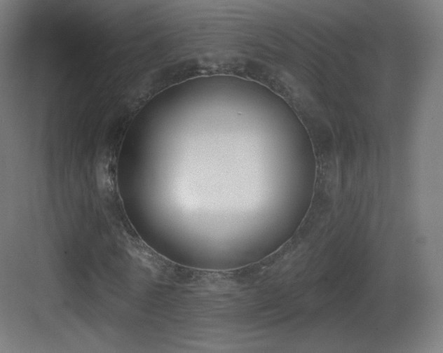 X0000083530770200702091005