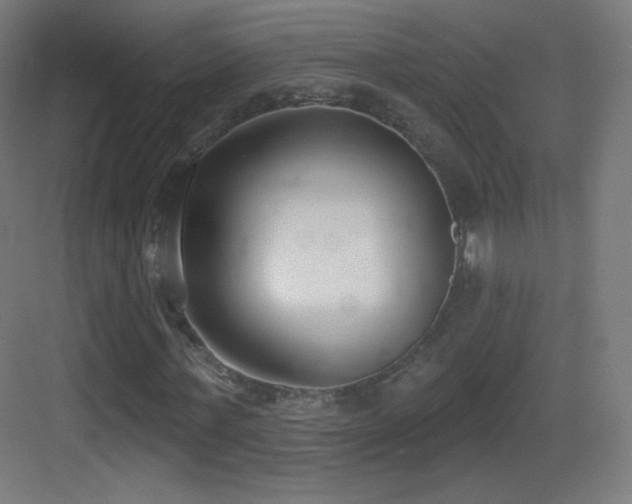 X0000083530771200702091005