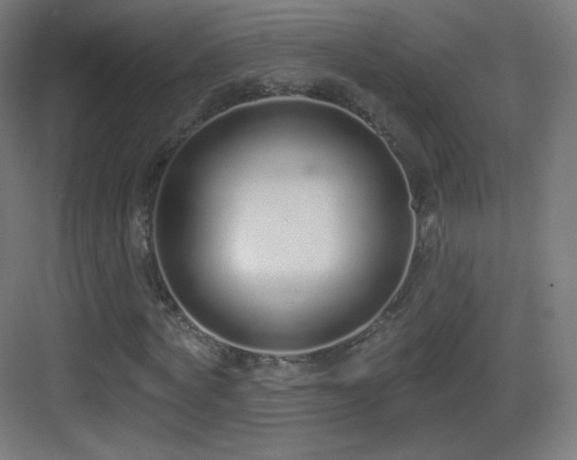 X0000083530772200702091005