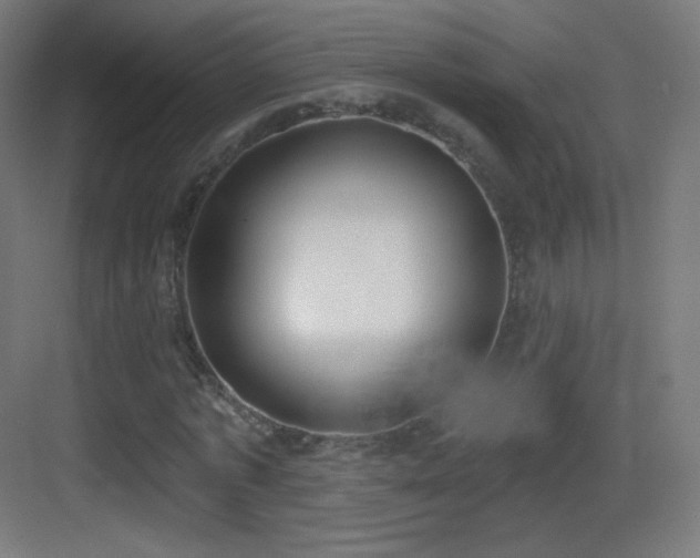 X0000083530773200702091005