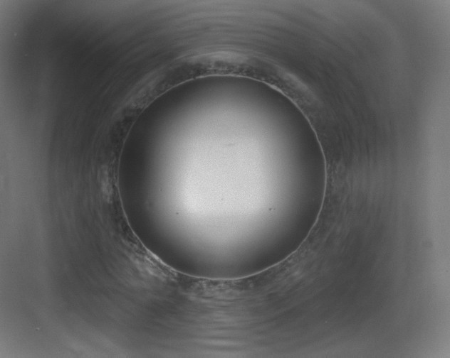 X0000083530774200702091005