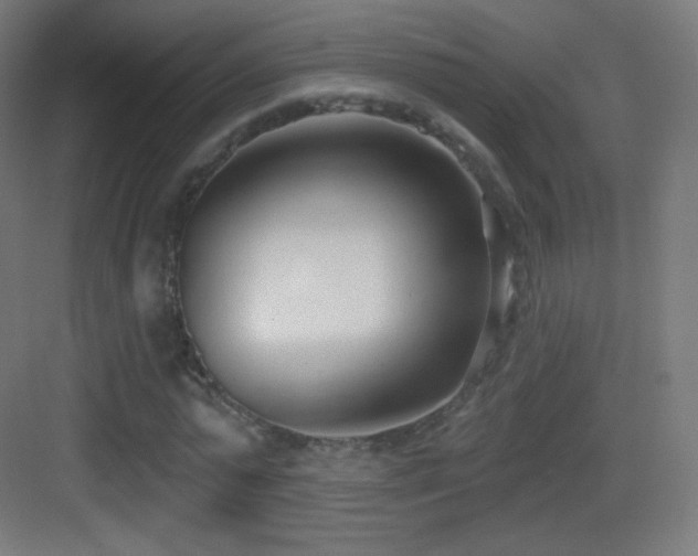 X0000083530775200702091005