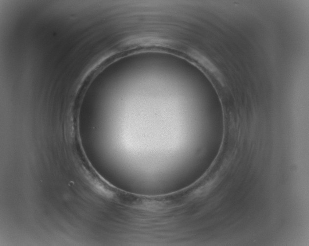 X0000083530782200702091005