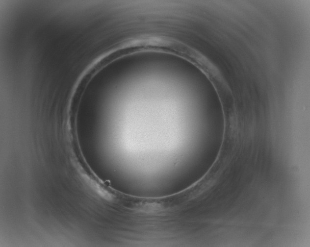 X0000083530784200702091005