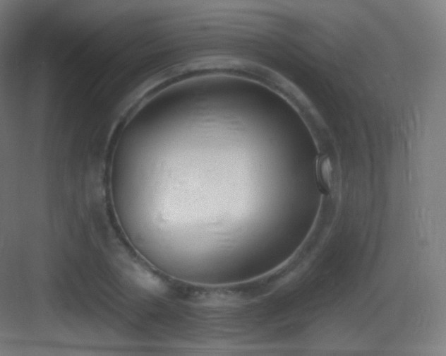 X0000083530786200702091005