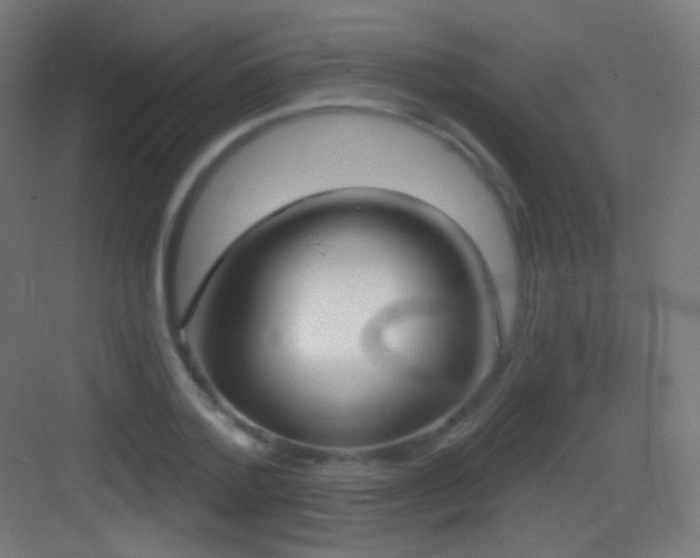 X0000083530788200702091005