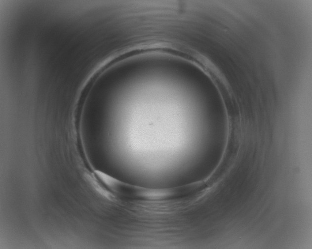 X0000083530789200702091005