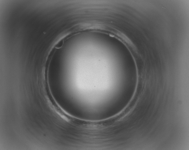 X0000083530790200702091005
