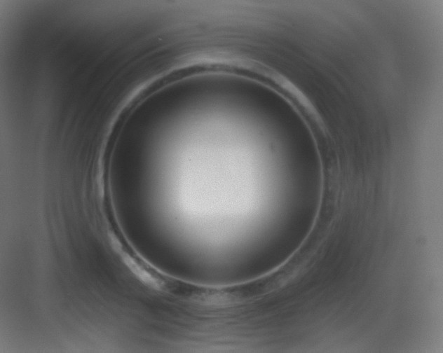 X0000083530791200702091005