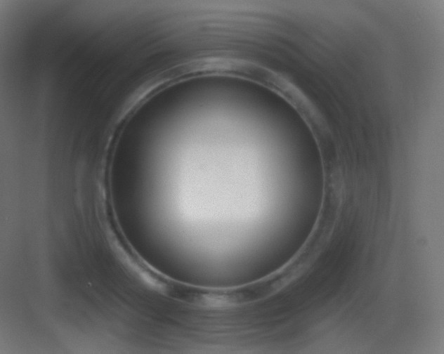 X0000083530794200702091005
