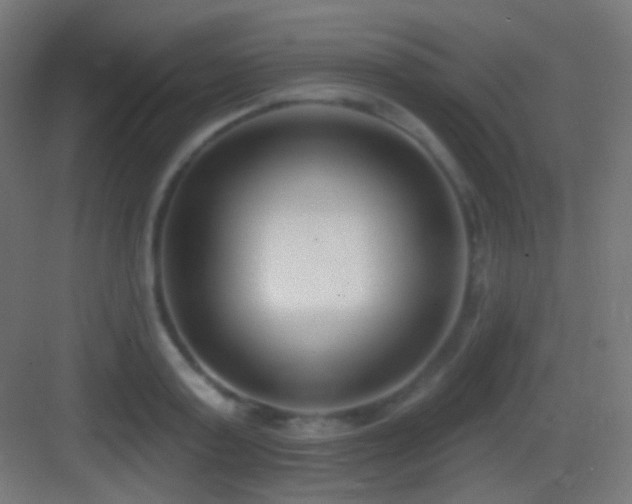 X0000083530795200702091005