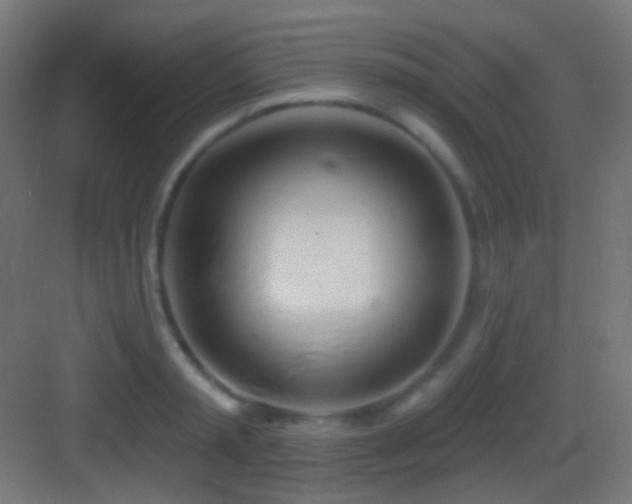 X0000083530797200702091005