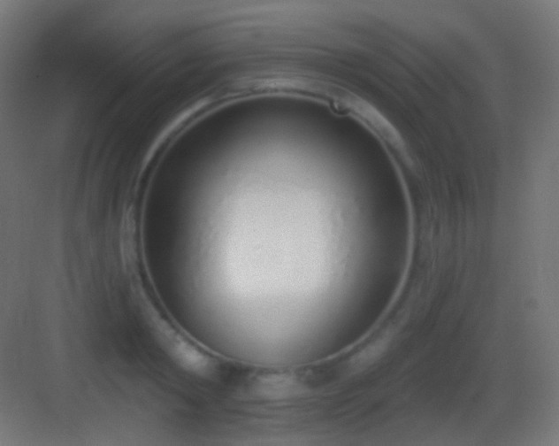 X0000083530798200702091005