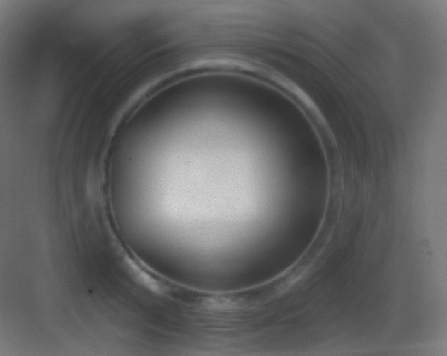 X0000083530799200702091005