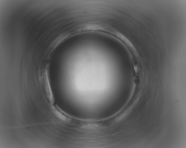 X0000083530801200702091005