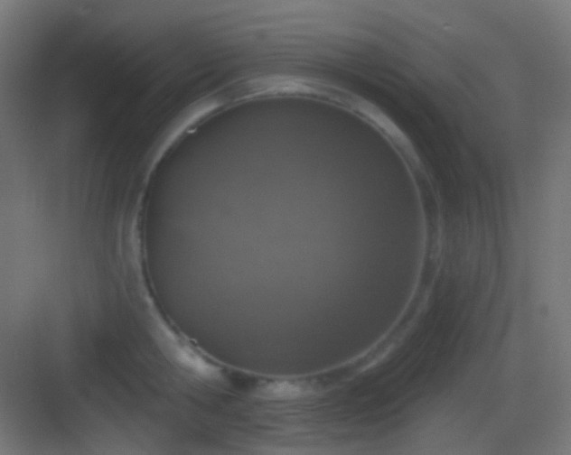 X0000083530806200702091005