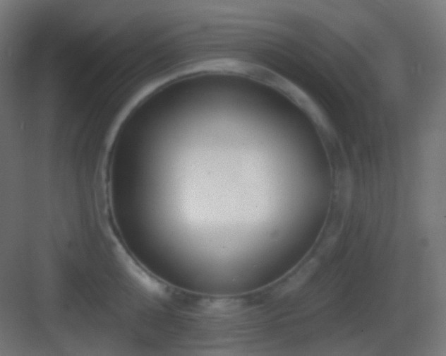 X0000083530808200702091005