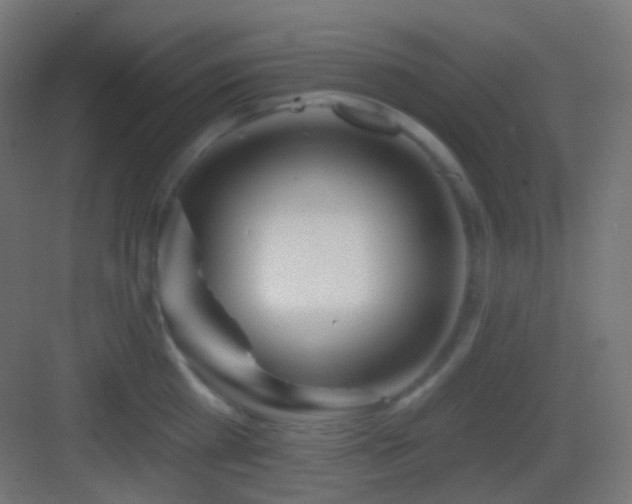 X0000083530809200702091005