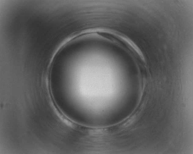 X0000083530813200702091005