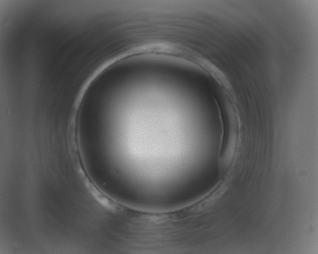 X0000083530816200702091005