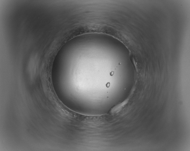 X0000083530817200702091004
