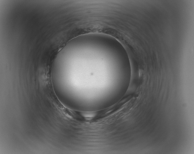 X0000083530818200702091004