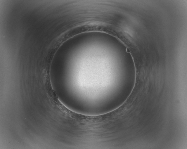 X0000083530821200702091004