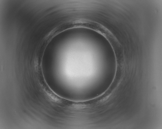 X0000083530825200702091004