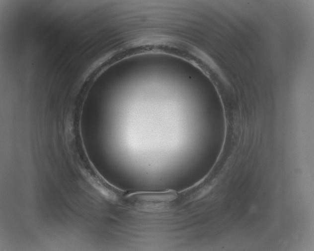 X0000083530826200702091004
