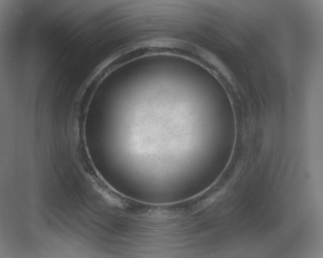 X0000083530829200702091004