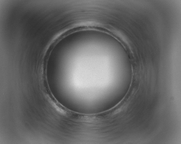 X0000083530831200702091004