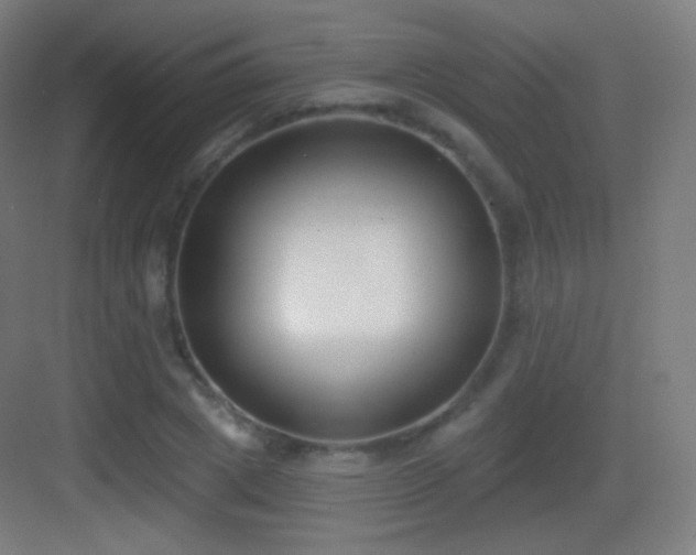 X0000083530833200702091004