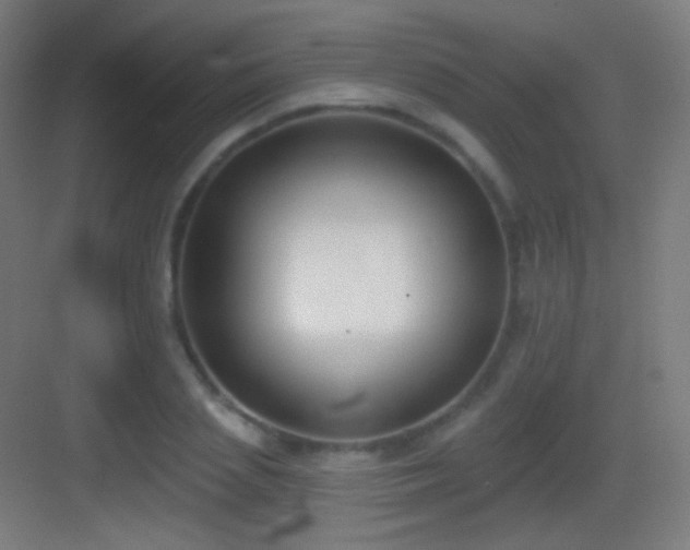 X0000083530837200702091004