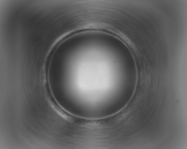 X0000083530838200702091004