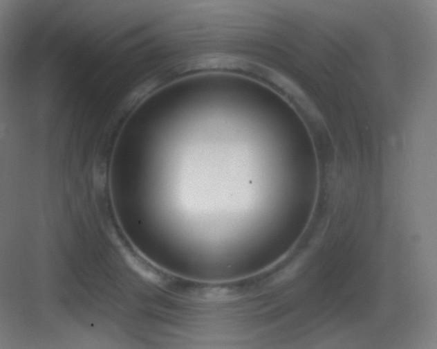 X0000083530841200702091004