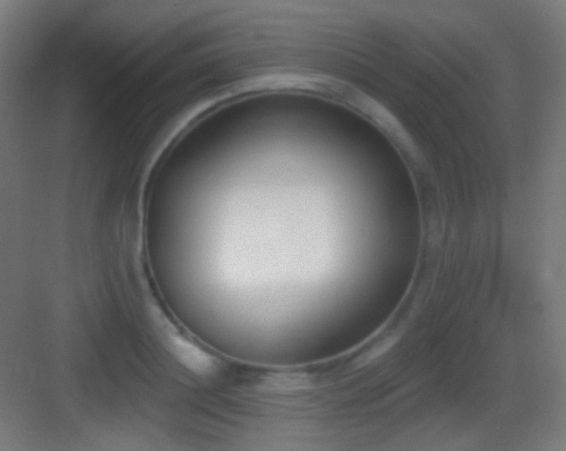 X0000083530844200702091004