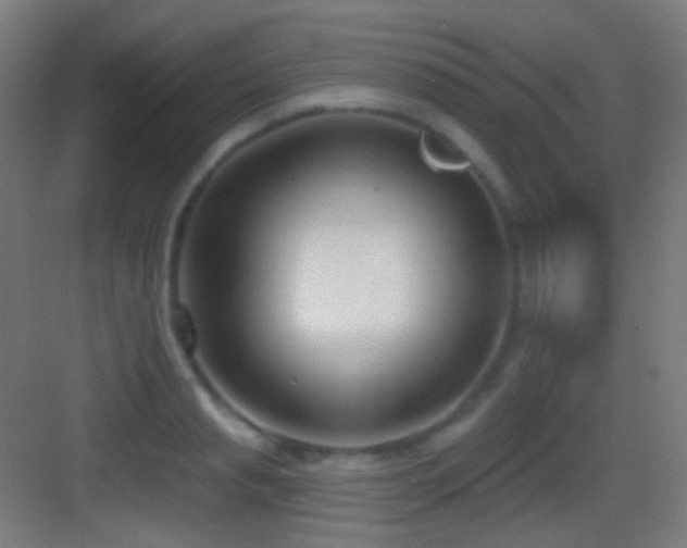 X0000083530845200702091004